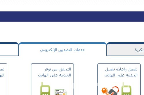 ما معنى خدمة تـــــــــم؟