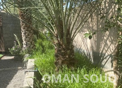 بيع منزل ريفي