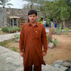 najeeb ullah